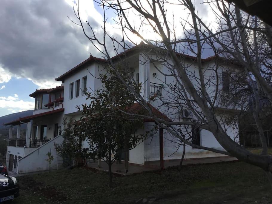 ליטוחורון Villa_Kleio מראה חיצוני תמונה