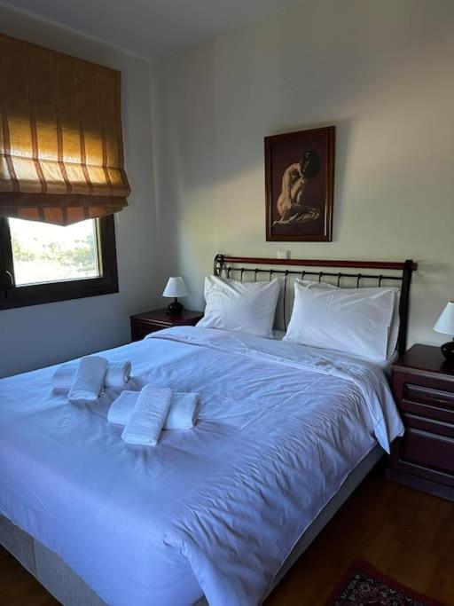 ליטוחורון Villa_Kleio מראה חיצוני תמונה